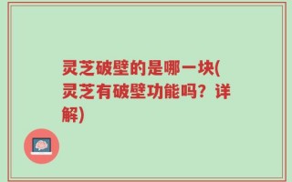 灵芝破壁的是哪一块(灵芝有破壁功能吗？详解)