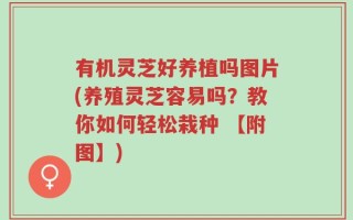 有机灵芝好养植吗图片(养殖灵芝容易吗？教你如何轻松栽种 【附图】)