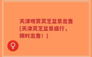 天津观赏灵芝盆景出售(天津灵芝盆景盛行，限时出售！)