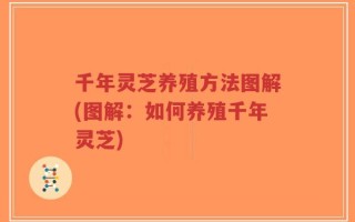 千年灵芝养殖方法图解(图解：如何养殖千年灵芝)