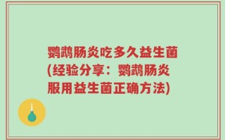 鹦鹉肠炎吃多久益生菌(经验分享：鹦鹉肠炎服用益生菌正确方法)