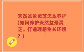 天然盆景灵芝怎么养护(如何养护天然盆景灵芝，打造理想生长环境？)