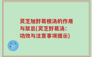 灵芝加野葛根汤的作用与禁忌(灵芝野葛汤：功效与注意事项提示)