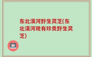东北漠河野生灵芝(东北漠河现有珍贵野生灵芝)