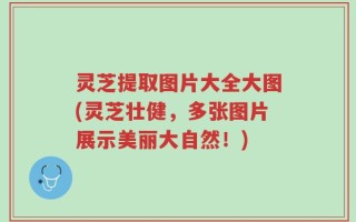 灵芝提取图片大全大图(灵芝壮健，多张图片展示美丽大自然！)