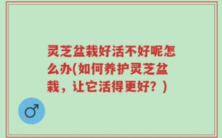 灵芝盆栽好活不好呢怎么办(如何养护灵芝盆栽，让它活得更好？)