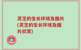 灵芝的生长环境及图片(灵芝的生长环境及图片欣赏)