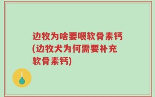 边牧为啥要喂软骨素钙(边牧犬为何需要补充软骨素钙)