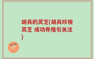 胡兵的灵芝(胡兵珍视灵芝 成功养殖引关注)