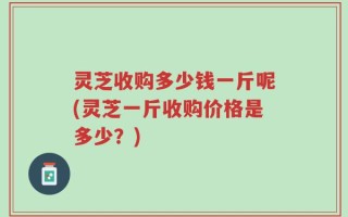 灵芝收购多少钱一斤呢(灵芝一斤收购价格是多少？)