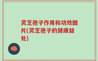 灵芝孢子作用和功效图片(灵芝孢子的健康益处)