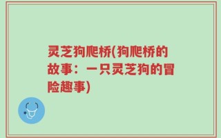 灵芝狗爬桥(狗爬桥的故事：一只灵芝狗的冒险趣事)