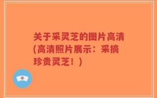 关于采灵芝的图片高清(高清照片展示：采摘珍贵灵芝！)