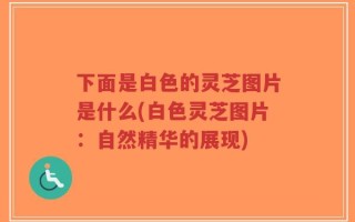 下面是白色的灵芝图片是什么(白色灵芝图片：自然精华的展现)