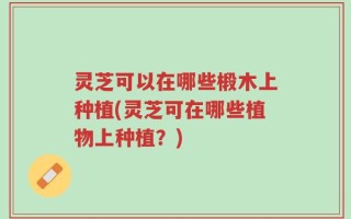 灵芝可以在哪些椴木上种植(灵芝可在哪些植物上种植？)