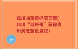四川鸿哥哥抓灵芝蟹(四川“鸿哥哥”获得贵州灵芝蟹批发权)