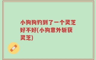 小狗狗钓到了一个灵芝好不好(小狗意外斩获灵芝)
