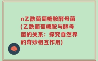 n乙酰葡萄糖胺酵母菌(乙酰葡萄糖胺与酵母菌的关系：探究自然界的奇妙相互作用)