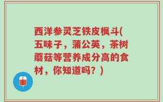 西洋参灵芝铁皮枫斗(五味子，蒲公英，茶树蘑菇等营养成分高的食材，你知道吗？)