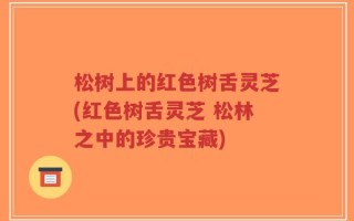 松树上的红色树舌灵芝(红色树舌灵芝 松林之中的珍贵宝藏)