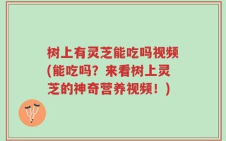 树上有灵芝能吃吗视频(能吃吗？来看树上灵芝的神奇营养视频！)