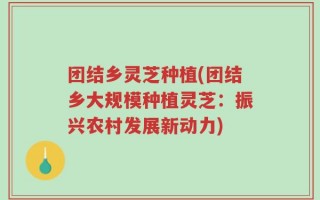 团结乡灵芝种植(团结乡大规模种植灵芝：振兴农村发展新动力)