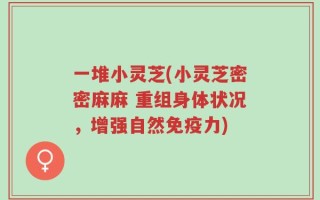 一堆小灵芝(小灵芝密密麻麻 重组身体状况，增强自然免疫力)