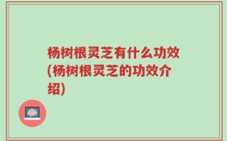杨树根灵芝有什么功效(杨树根灵芝的功效介绍)
