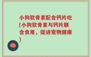 小狗软骨素配合钙片吃(小狗软骨素与钙片联合食用，促进宠物健康)