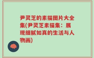 尹灵芝的素描图片大全集(尹灵芝素描集：展现细腻如真的生活与人物画)