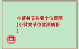 小臂关节在哪个位置图(小臂关节位置图解析)