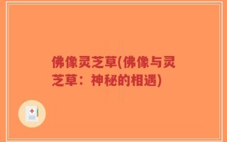 佛像灵芝草(佛像与灵芝草：神秘的相遇)