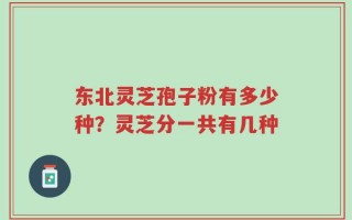 东北灵芝孢子粉有多少种？灵芝分一共有几种