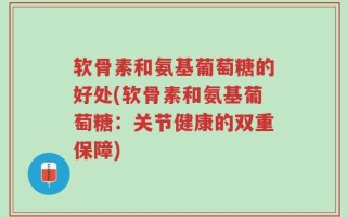 软骨素和氨基葡萄糖的好处(软骨素和氨基葡萄糖：关节健康的双重保障)