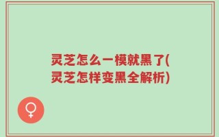 灵芝怎么一模就黑了(灵芝怎样变黑全解析)