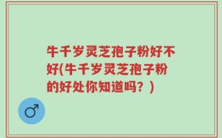 牛千岁灵芝孢子粉好不好(牛千岁灵芝孢子粉的好处你知道吗？)