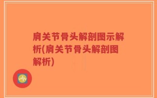 肩关节骨头解剖图示解析(肩关节骨头解剖图解析)