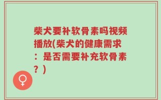 柴犬要补软骨素吗视频播放(柴犬的健康需求：是否需要补充软骨素？)