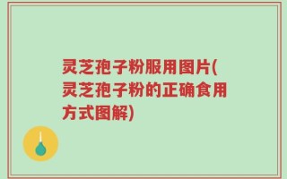 灵芝孢子粉服用图片(灵芝孢子粉的正确食用方式图解)