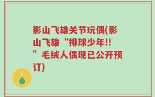 影山飞雄关节玩偶(影山飞雄“排球少年!!”毛绒人偶现已公开预订)