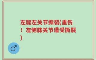 左腿左关节撕裂(重伤！左侧膝关节遭受撕裂)
