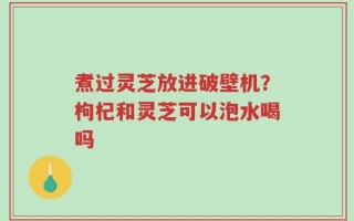 煮过灵芝放进破壁机？枸杞和灵芝可以泡水喝吗