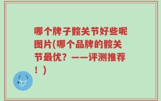 哪个牌子髋关节好些呢图片(哪个品牌的髋关节最优？——评测推荐！)