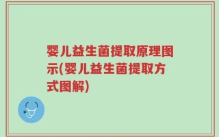 婴儿益生菌提取原理图示(婴儿益生菌提取方式图解)