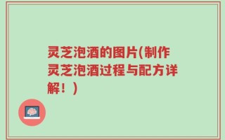 灵芝泡酒的图片(制作灵芝泡酒过程与配方详解！)