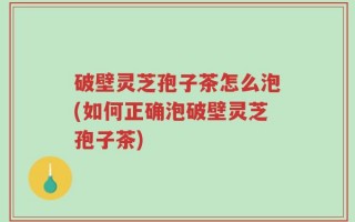 破壁灵芝孢子茶怎么泡(如何正确泡破壁灵芝孢子茶)