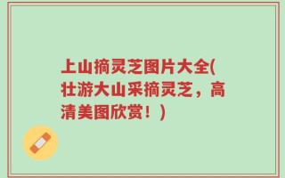 上山摘灵芝图片大全(壮游大山采摘灵芝，高清美图欣赏！)