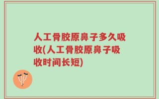 人工骨胶原鼻子多久吸收(人工骨胶原鼻子吸收时间长短)