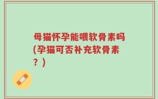 母猫怀孕能喂软骨素吗(孕猫可否补充软骨素？)
