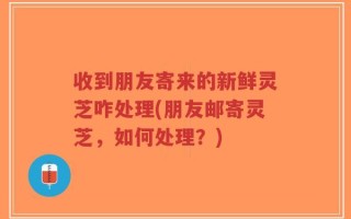 收到朋友寄来的新鲜灵芝咋处理(朋友邮寄灵芝，如何处理？)
